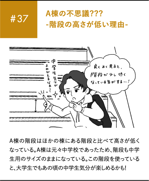 #37 A棟の不思議???-階段の高さが低い理由-A棟の階段はほかの棟にある階段と比べて高さが低くなっている。A棟は元々中学校であったため、階段も中学生用のサイズのままになっている。この階段を使っていると、大学生でもあの頃の中学生気分が楽しめるかも!