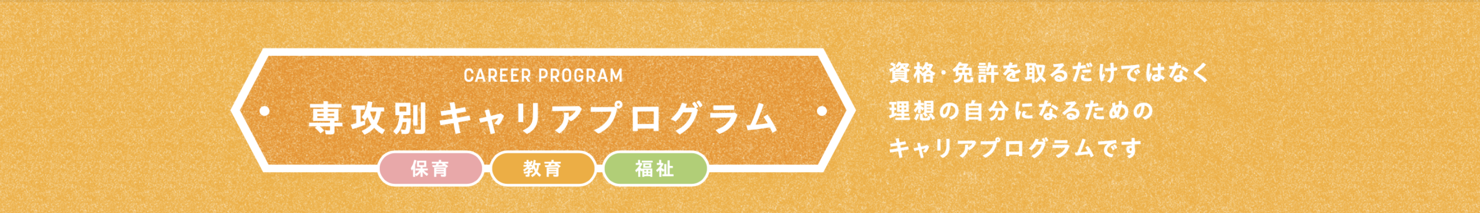 専攻別キャリアプログラム